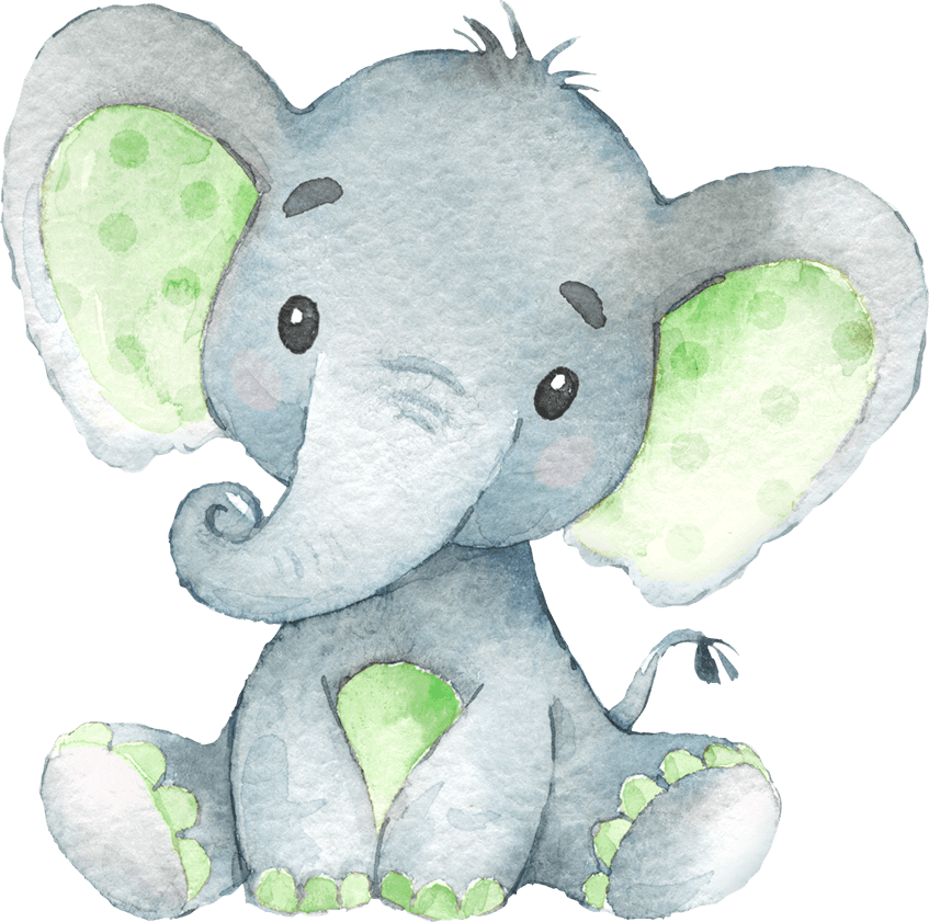 bebe elefante